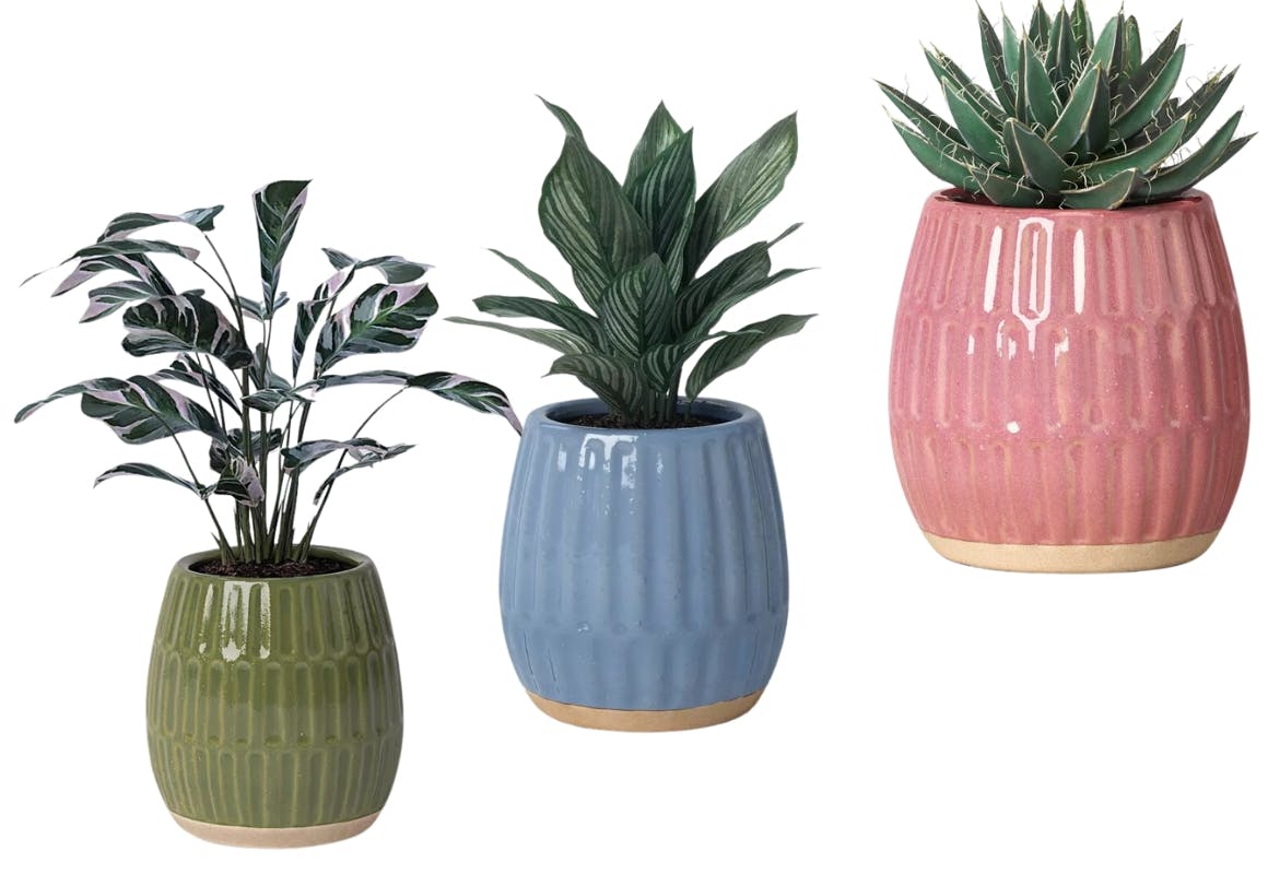 Threshold Glaze Planter