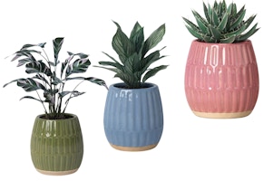 Threshold Glaze Planter