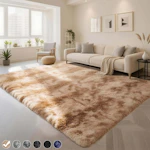 Area Rug