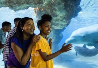 groupon seaworld ticket