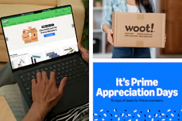 woot-prime-appreciation-sale-1
