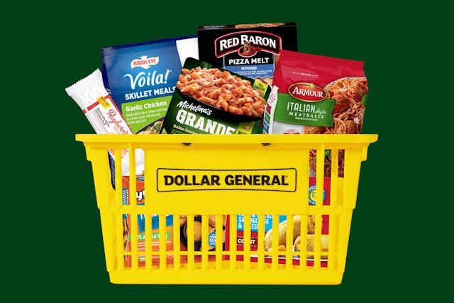 Current Dollar General Penny List: Frozen Foods, Calendars, and More card image