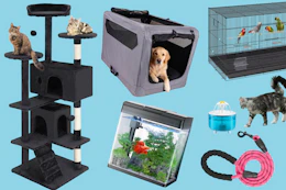 Items for cats, dogs, and other small animals