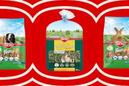 Kaytee small pet care on KCL template