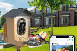 B0DSG7X5ZK bird feeder