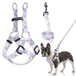 Dog Harness and Leash Set