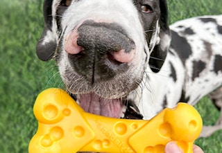 amazon nylabone dog toy formula image 2023 1 1678970188 1678970188