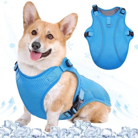 Dog Cooling Vest