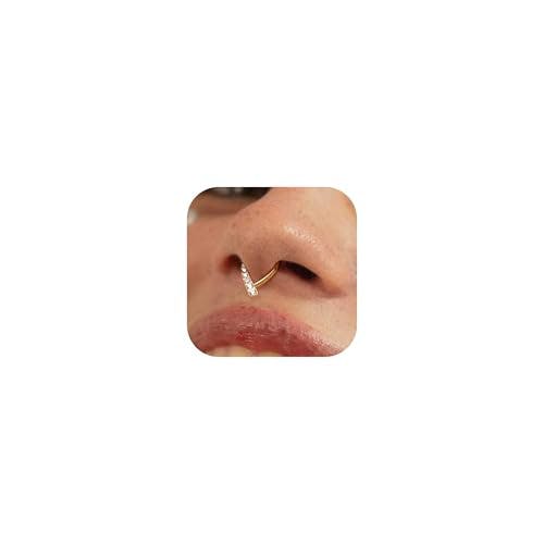 Septum Ring