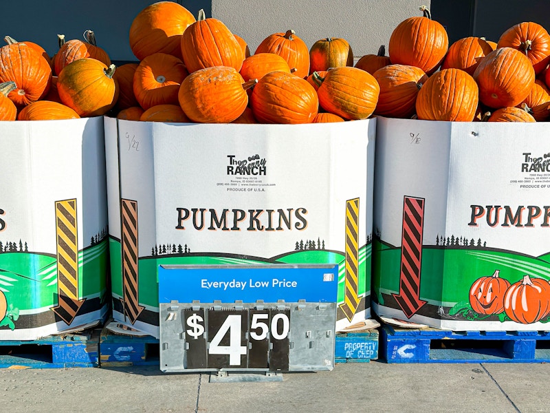 Pumpkin Price Comparisons 2024: Where to Find The Best Deals - The