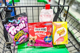 dollar tree groceries in shopping cart