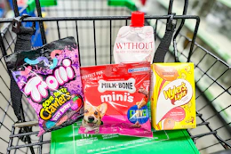 dollar tree groceries in shopping cart