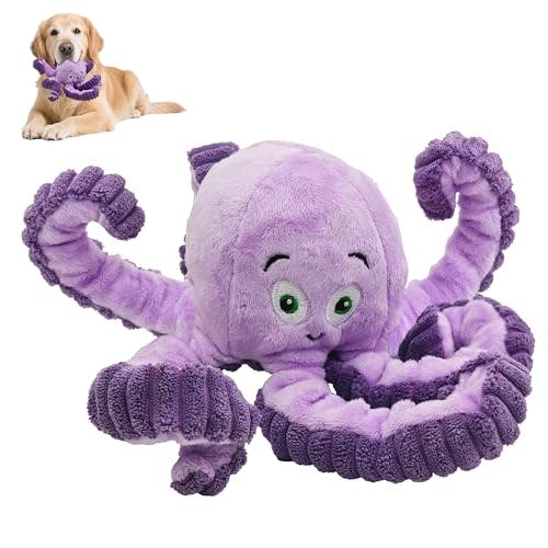 Squeaky Dog Toy