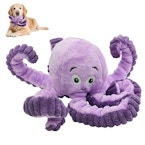Squeaky Dog Toy