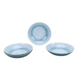Better Homes & Gardens Dinner Bowls