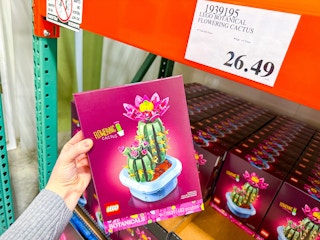 costco-lego-flowering-cactus-1
