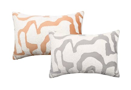 Threshold Oversized Chenille and Velvet Pillows