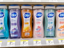 dial body washes on walgreens shelf