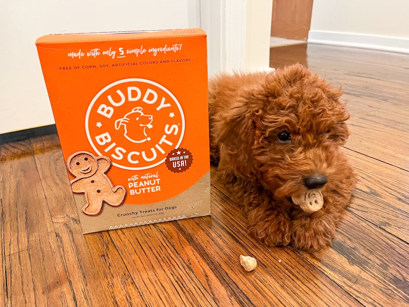 amazon-buddy-biscuits-IMG_8382-2