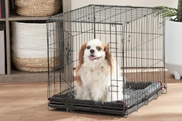 Small Dog Crate, Only $18 at Walmart card image