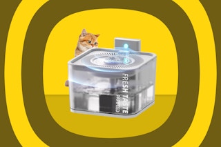 A small cat looks over the top of a 3-liter automatic water fountain that's clear and cube-shaped.