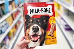 Milk-Bone Dog Treats 10-Pound Box, as Low as $10.49 on Amazon card image