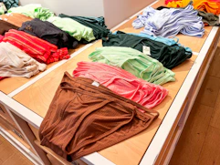 Aerie Panties
