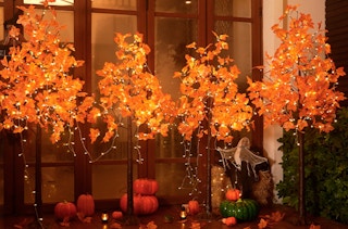 LED faux maple trees in a front yard with pumpkins