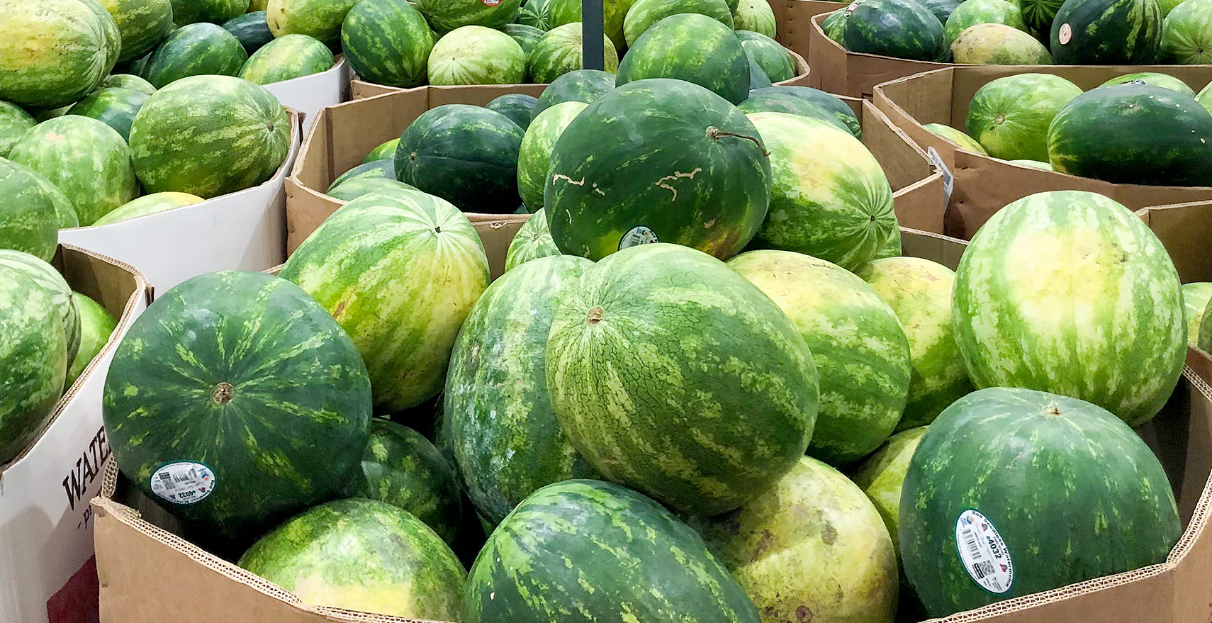 How to Get the Best Watermelon Price This Summer (2023) - The Krazy