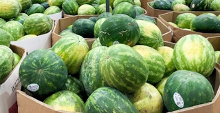 boxes of seedless watermelon