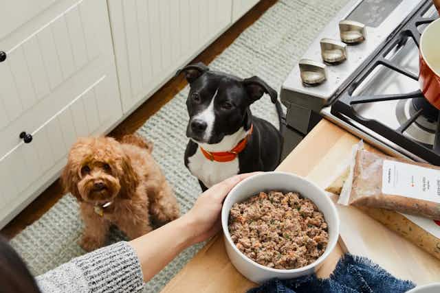 Get 50% Off Your First Box of Farmer's Dog Food  card image
