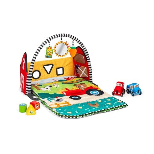 Baby Einstein Baby Play Gym