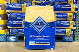 blue buffalo dog food