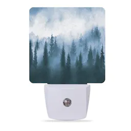 Misty Forest Night Light