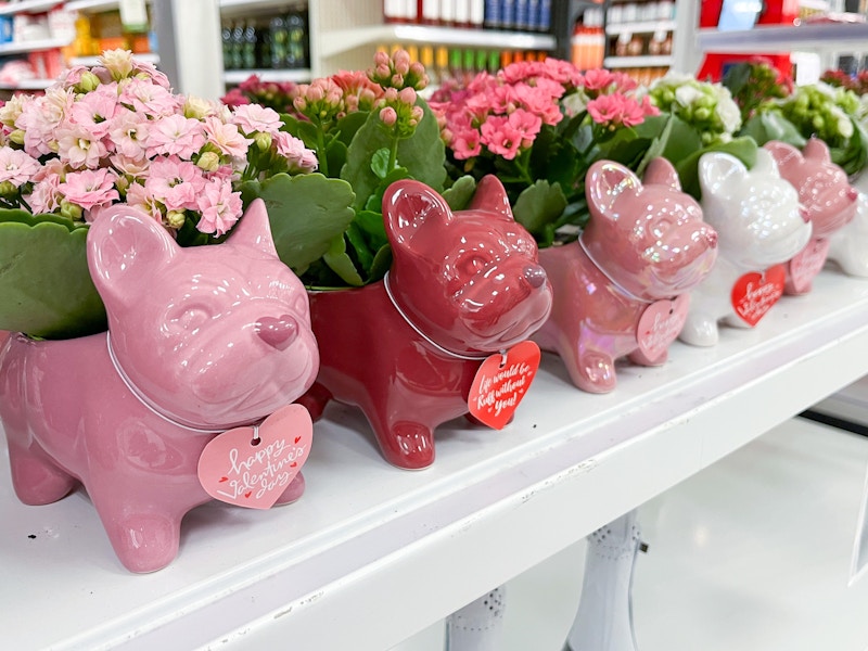 target frenchie planters in cart