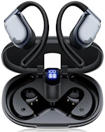 Translation Earbuds