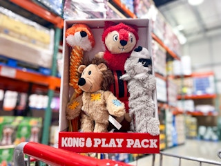 costco Kong Play Pack Dog Toys 4-pack on cart