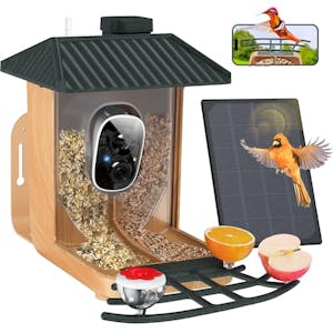 Smart Bird Feeder With Camera