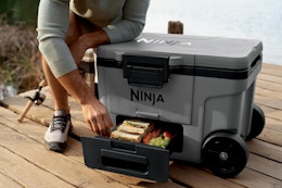 Ninja Cooler Sale on Amazon: Prices Start at $149.99 (Reg. $200+) card image
