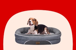 Orthopedic Waterproof Dog Bed, Under $20 on Amazon card image