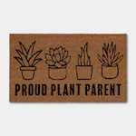 Room Essentials Coir Doormat