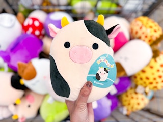 five-below-squishmallows-kcl-08