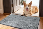 Corgi laying behind doormat in entrance