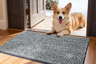 Corgi laying behind doormat in entrance