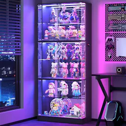 Display Cabinet with Glass Doors