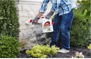 amazon ortho insectkiller 1652802330 1652802330