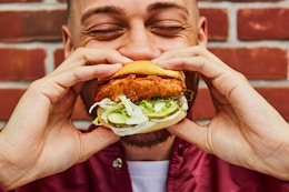 free-chicken-shack-sandwiches-shake-shack-official-media-2