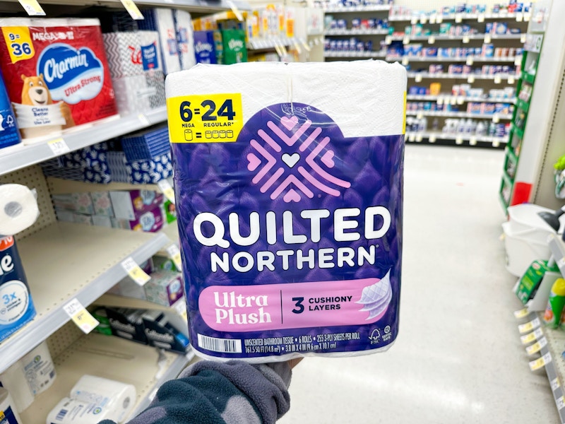 angel soft quilted northern walgreens