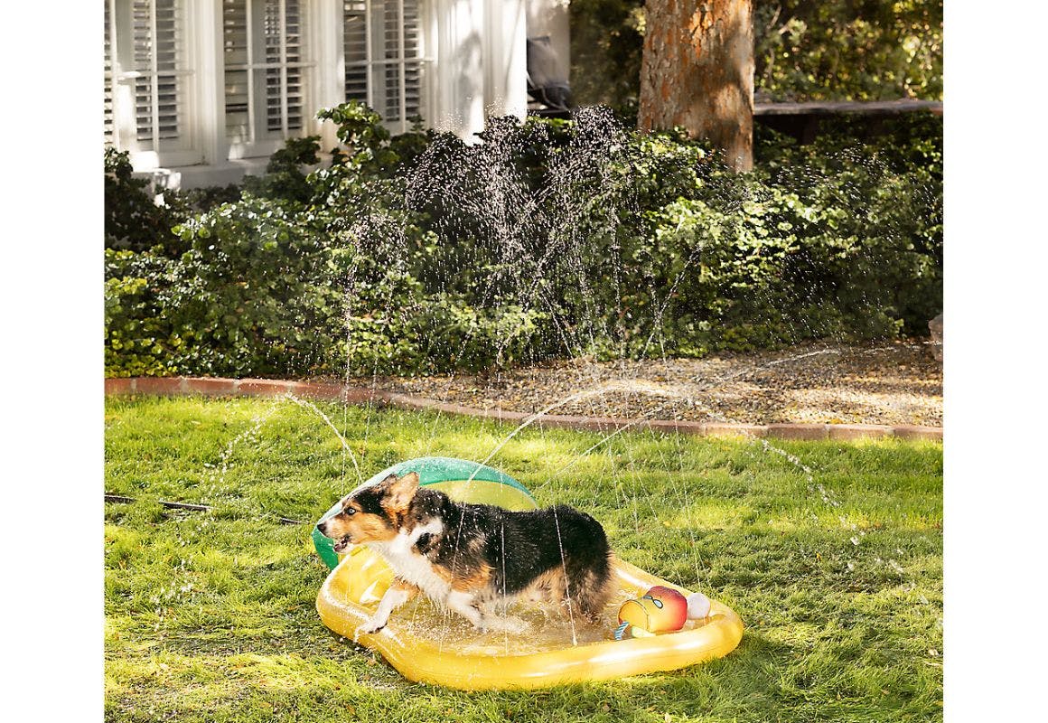 Top Paw Pineapple Splash Pad