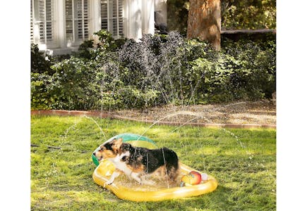 Top Paw Pineapple Splash Pad